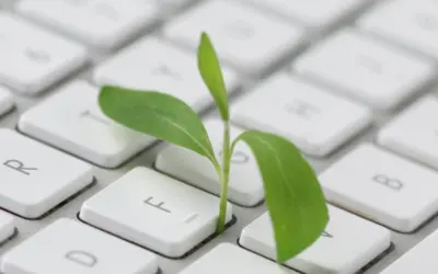 El Futuro es Sostenible: Cómo Ser Eco y Ecoresponsable en tu Empresa